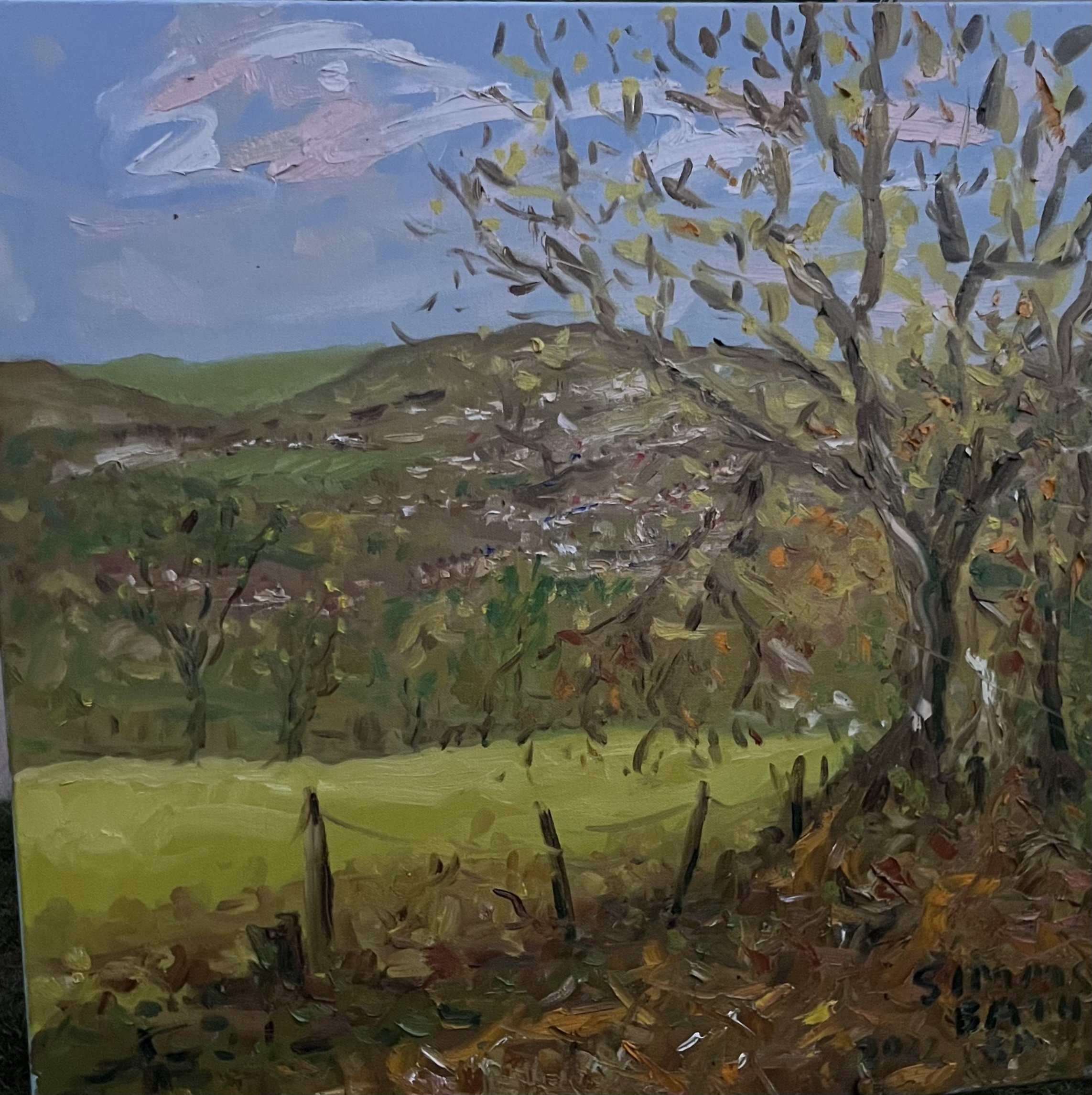 Foxhill woodland , above Bath.
